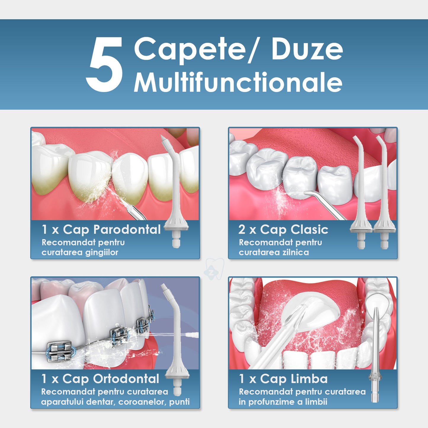 Set 5 Capete Irigator bucal, Zoopie®, Compatibile cu irigatoarele Zoopie ZOP65