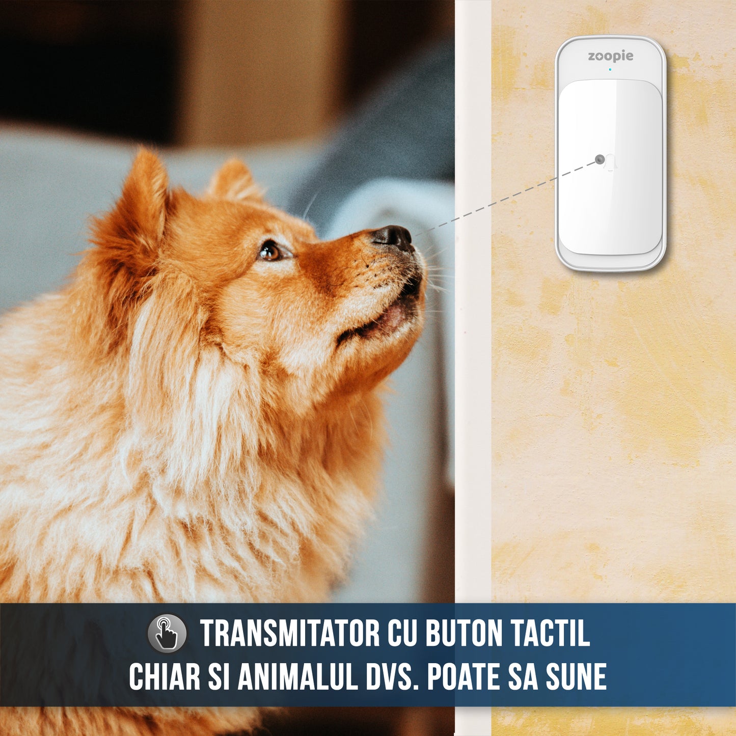 Sonerie Fara Fir/ Wireless, Zoopie®, Distanta 280m, 58 Melodii, Alimentare Priza Home, 1 Receptor, Alb