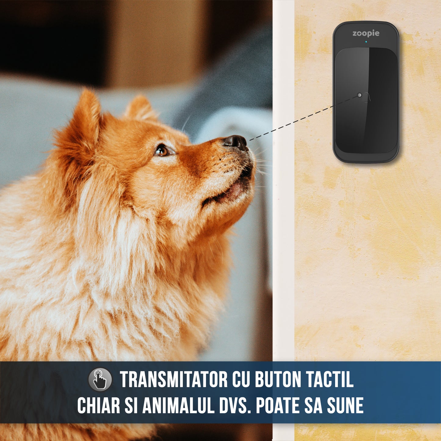 Sonerie Fara Fir/ Wireless, Zoopie®, Distanta 280m, 58 Melodii, Alimentare Priza Home, 2 Receptoare, Negru